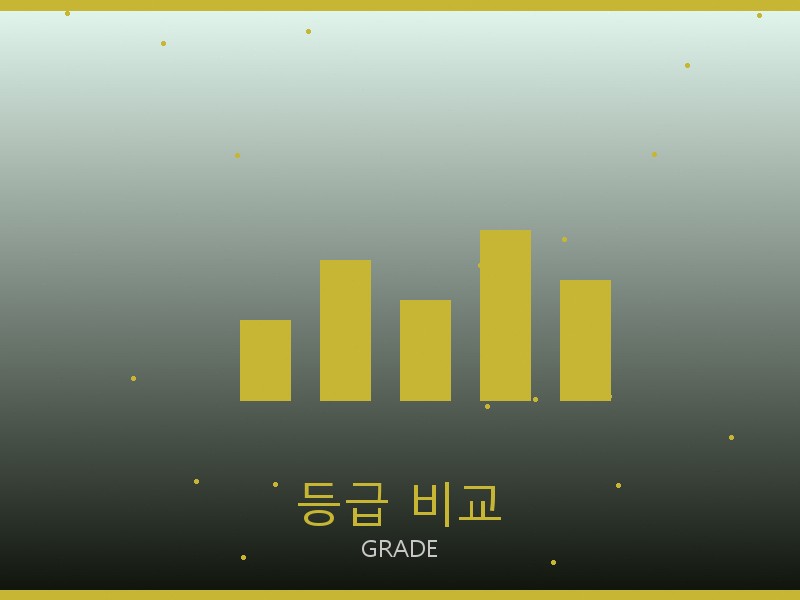 25 백 레플리카 사이트 등급 기준 비교